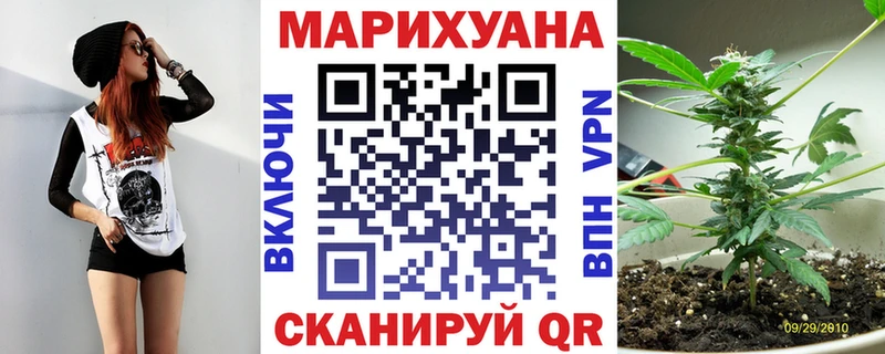 Купить закладки  Павловский Посад  Каннабис конопля 